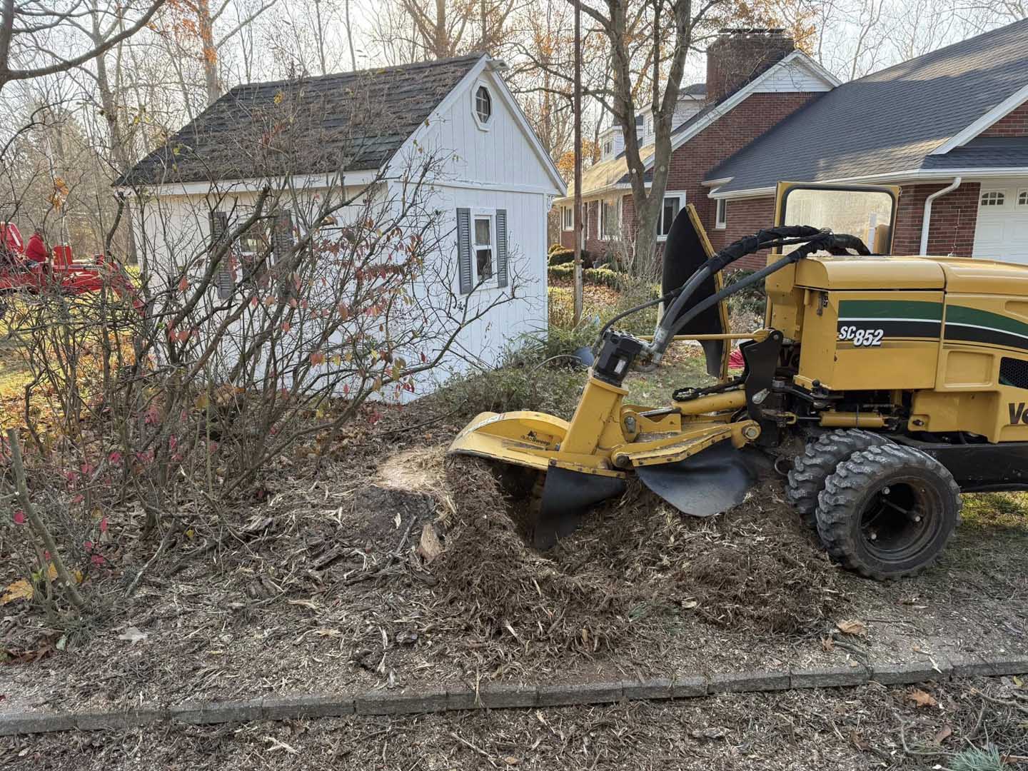 stump grinding in residential yard